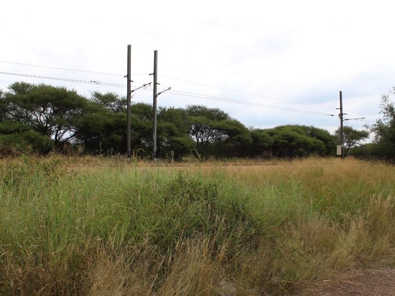 A view of a vacant residential plot featuring natural grass cover, mature trees, and overhead utility infrastructure.