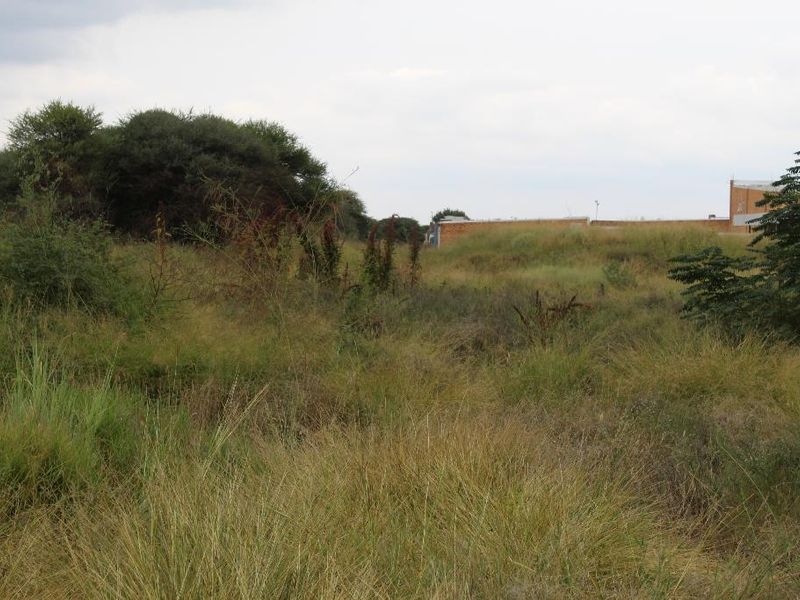 A view of an undeveloped residential plot featuring natural grass and shrubbery, suitable for future construction.