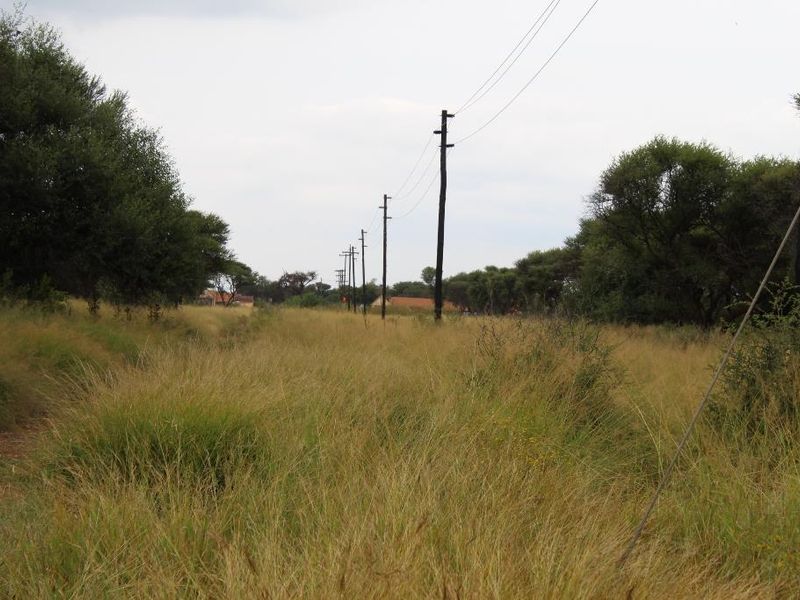 A view of a vacant residential plot featuring tall grass and existing utility poles with overhead power lines running through the property.