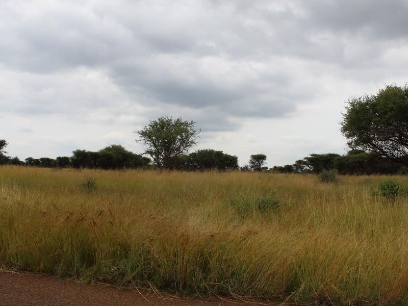 A view of an expansive, undeveloped residential plot featuring natural grassland and scattered indigenous trees under a cloudy sky.