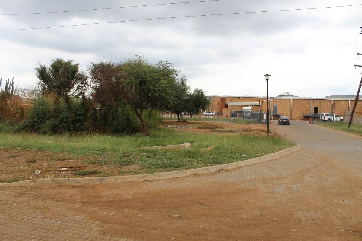 A street-level view of a vacant residential plot featuring established trees, paved curbing, and perimeter fencing in a suburban setting.