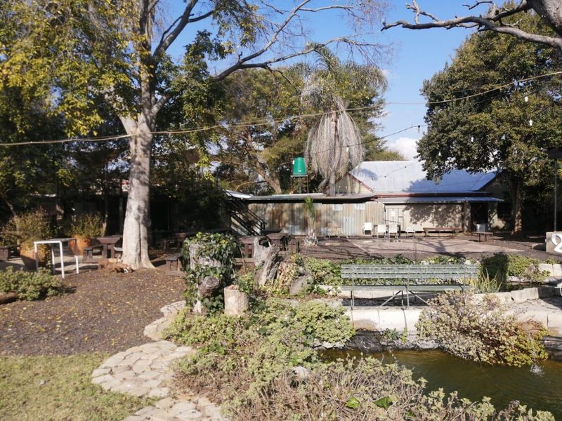 A rustic outdoor garden area featuring a small pond, stone pathways, and mature trees surrounding a farm-style building with corrugated metal siding.