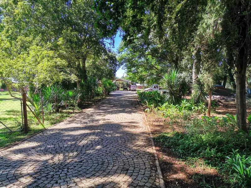 A scenic cobblestone driveway lined with mature trees and established garden beds, leading towards the property entrance.