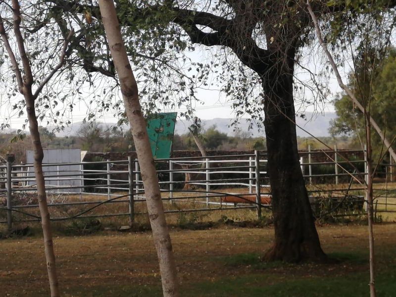 Outdoor farm area featuring metal livestock fencing and a stone boundary wall, set against a natural landscape background.