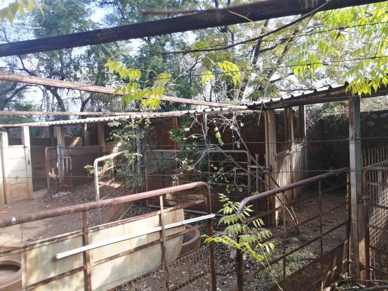 Outdoor livestock enclosure area featuring metal fencing, stone walling, and a basic metal roof structure, showing significant signs of weathering and age.