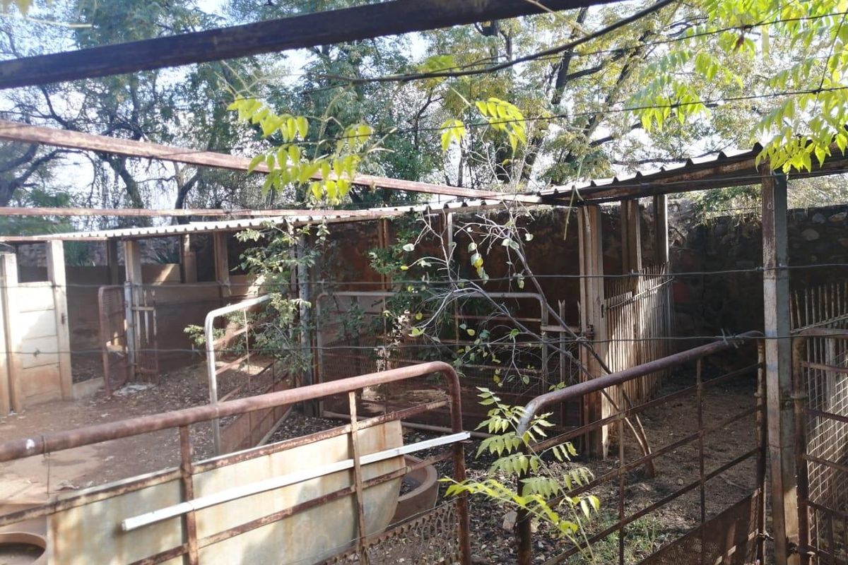 Outdoor livestock enclosure area featuring metal fencing, stone walling, and a basic metal roof structure, showing significant signs of weathering and age.