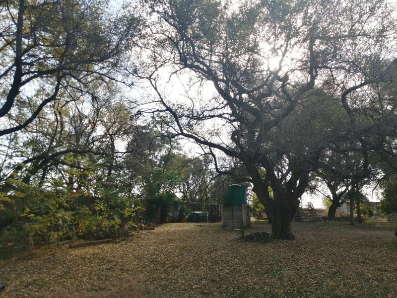A spacious, tree-lined garden area featuring mature trees and a functional water storage tank on the property grounds.