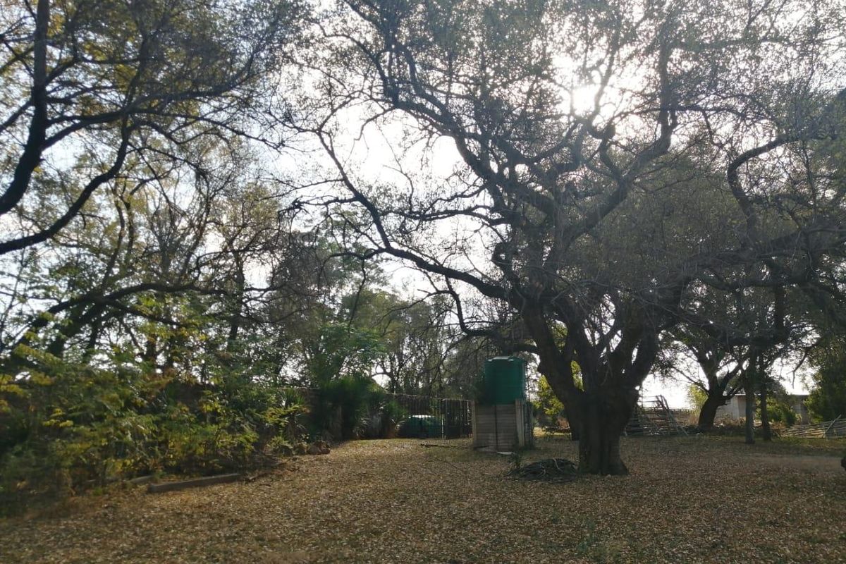 A spacious, tree-lined garden area featuring mature trees and a functional water storage tank on the property grounds.