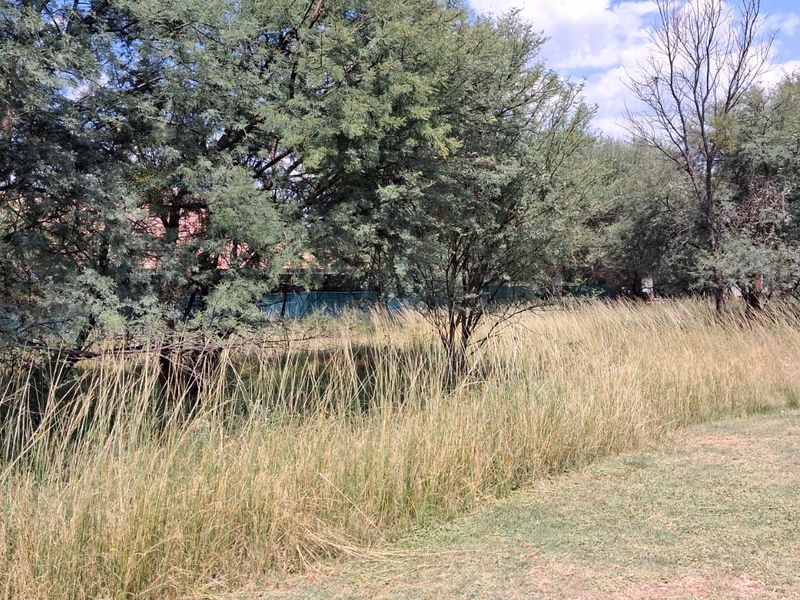 Vacant Land Residential For Sale In Rustenburg - Photo 4