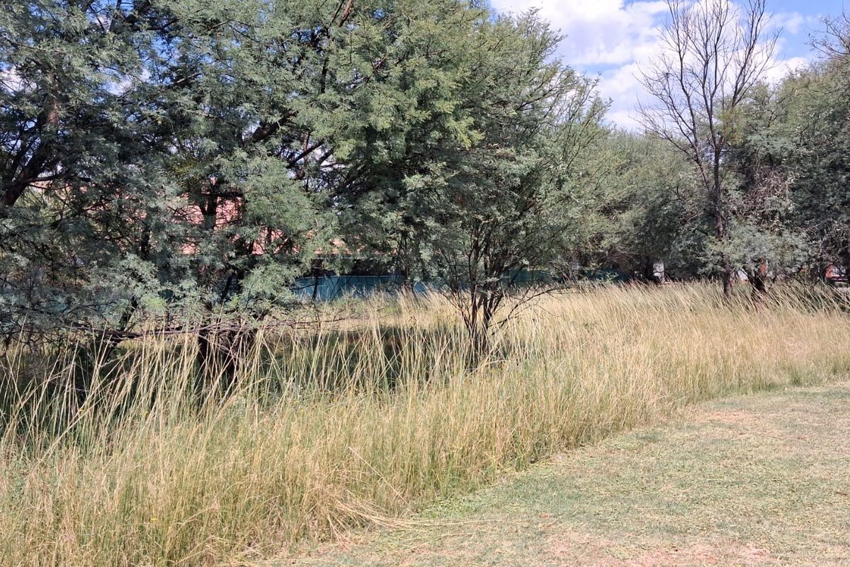 Vacant Land Residential For Sale In Rustenburg - Photo 4