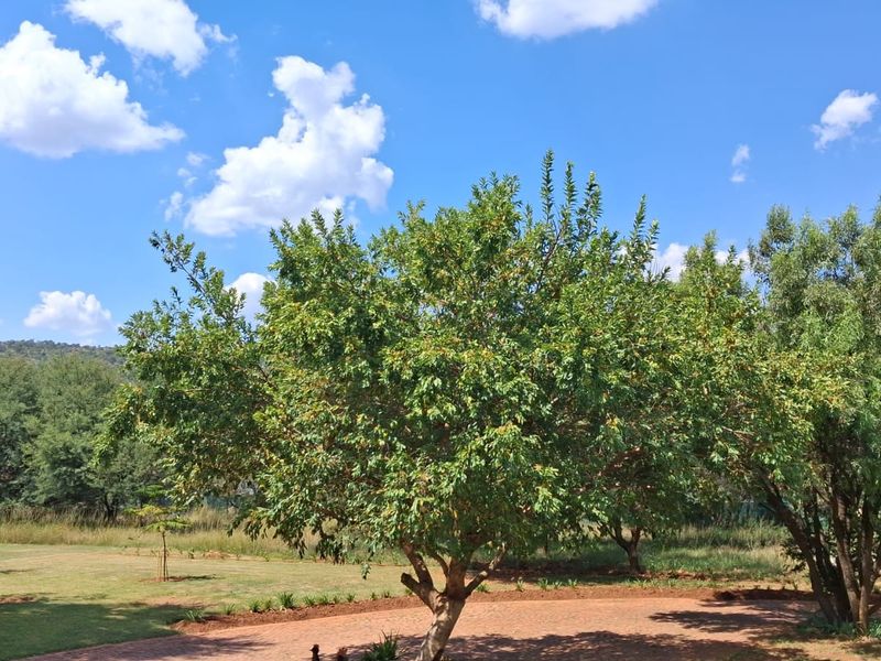 Vacant Land Residential For Sale In Rustenburg - Photo 6