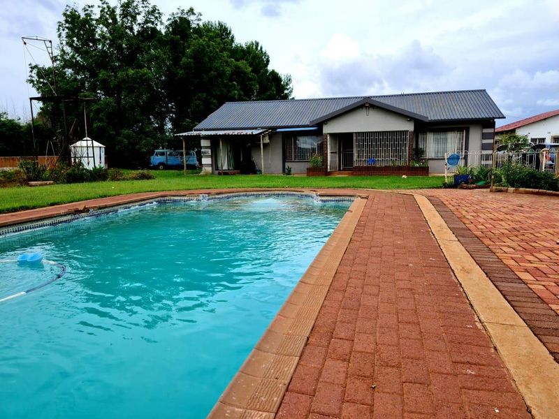 A view of the swimming pool and paved patio area leading to the main dwelling with a metal roof and security features.