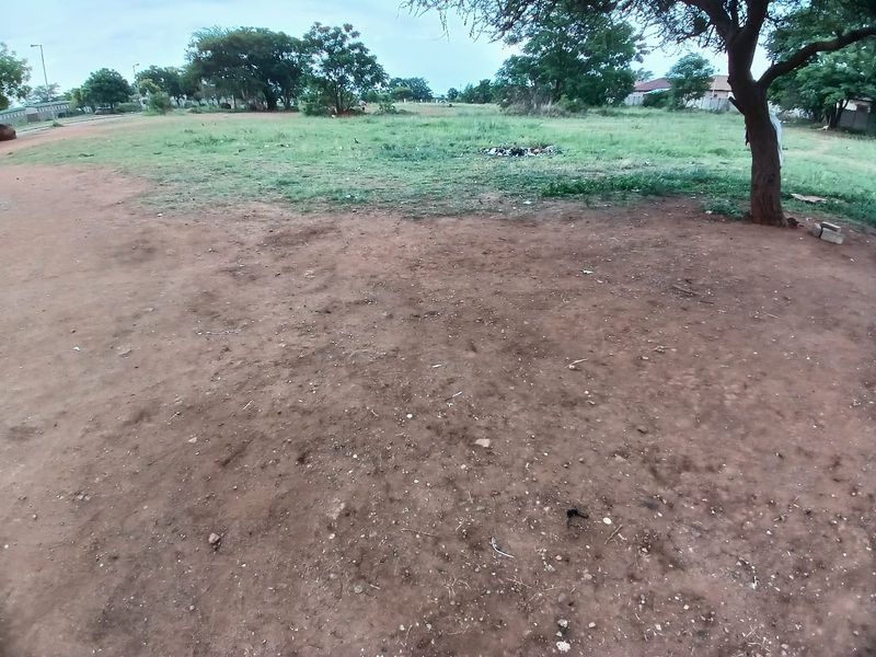 Vacant Land - Photo 10