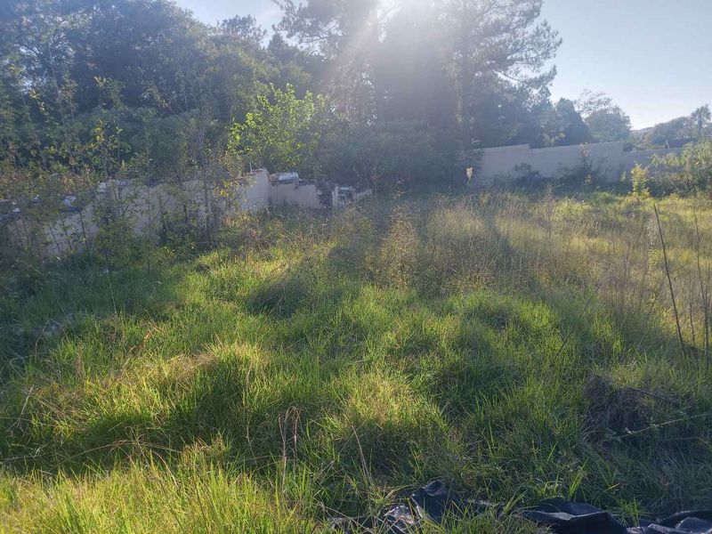 Start now your Construction project with this fully 4,000m2 fully rezoned Stand. - Photo 6