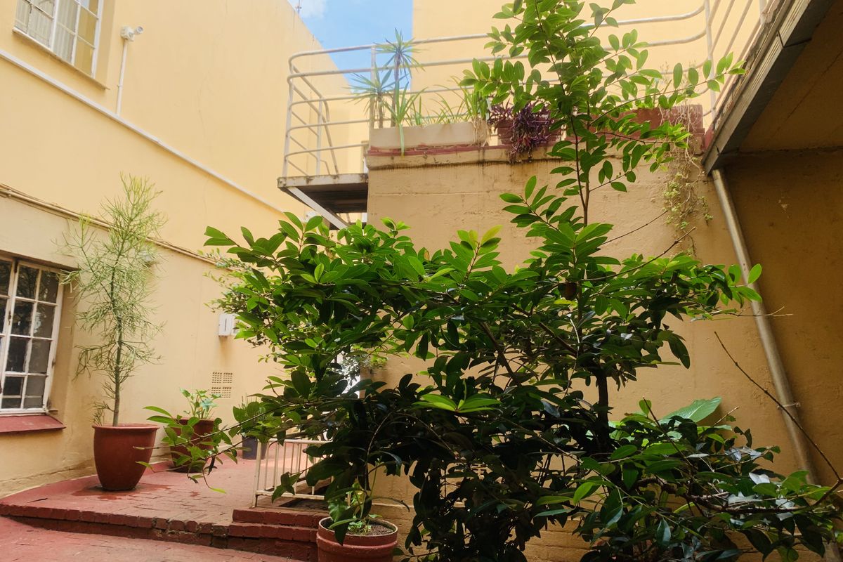 A beautiful and spacious three bedroom apartment - Photo 3