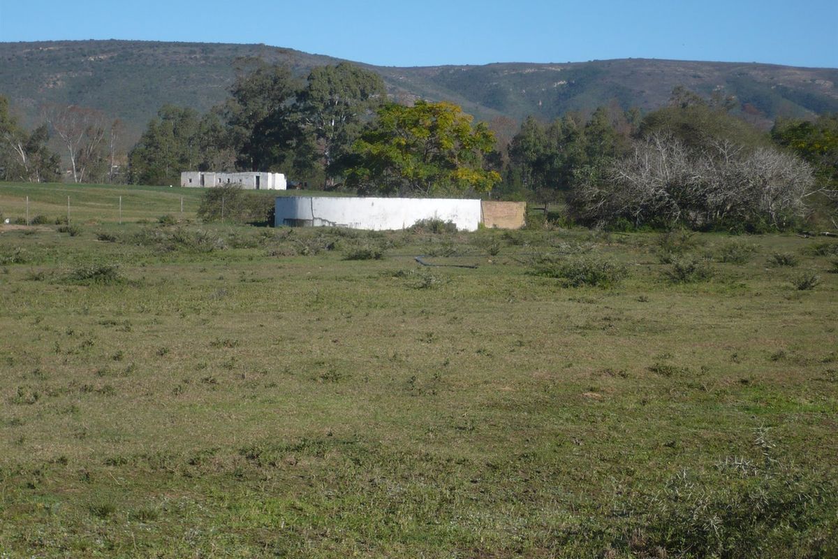 Smallholding in sought after Kruisrivier - Photo 5