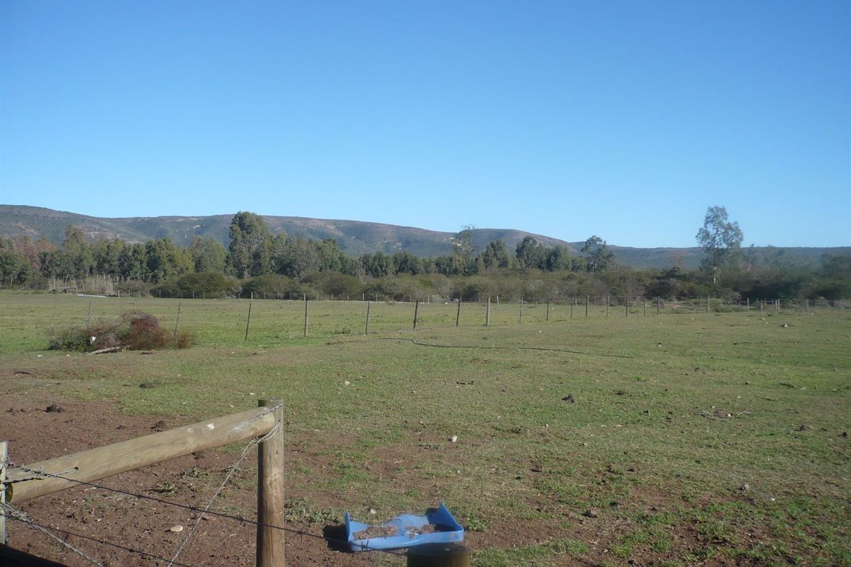 Smallholding in sought after Kruisrivier - Photo 4