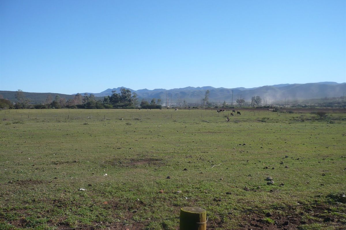 Smallholding in sought after Kruisrivier - Photo 3