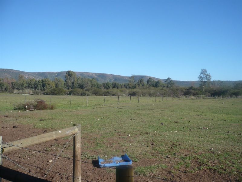 A view of the open farm land featuring wire fencing and wooden posts with a mountain backdrop.