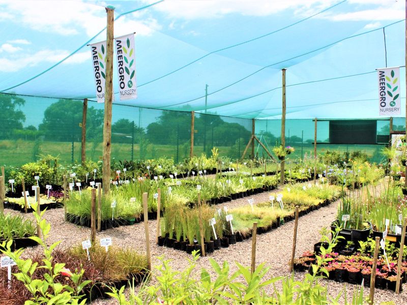 Perfect Investment Opportunity - Photo 10