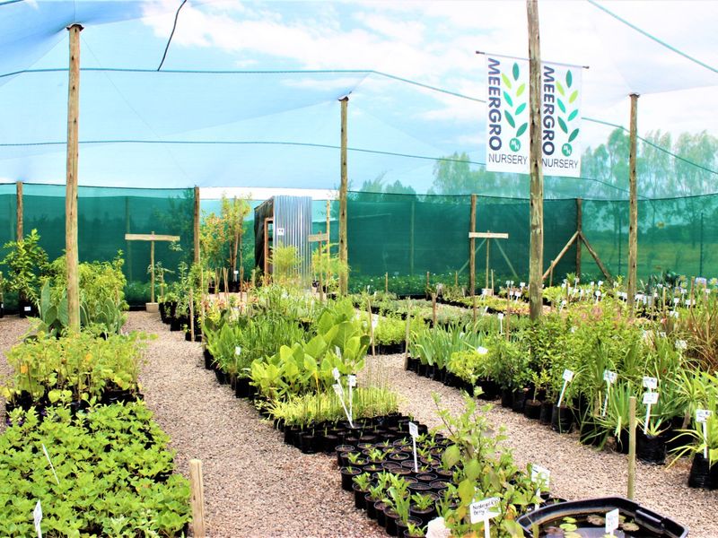 Perfect Investment Opportunity - Photo 9