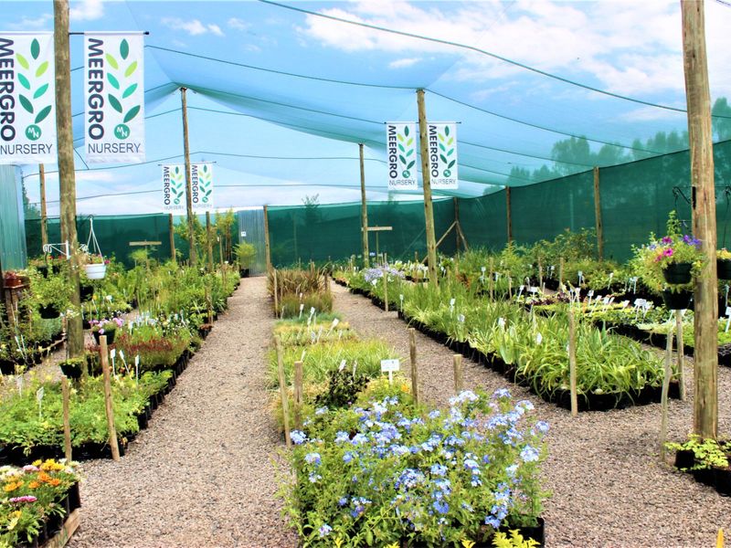 Perfect Investment Opportunity - Photo 8