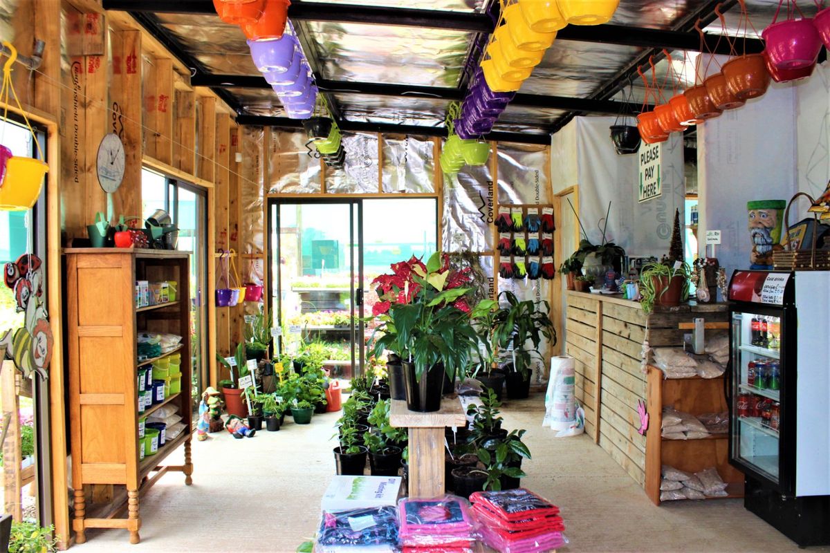 Perfect Investment Opportunity - Photo 2