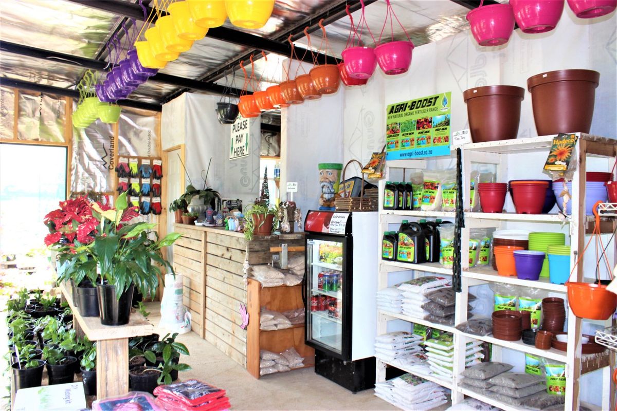 Perfect Investment Opportunity - Photo 3