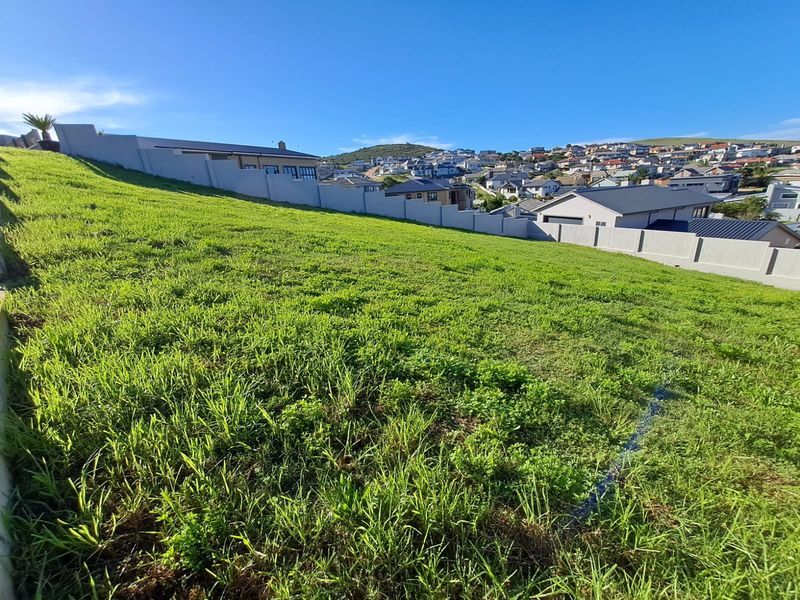 A Peaceful Stand in a Highly Desirable Location - Photo 10