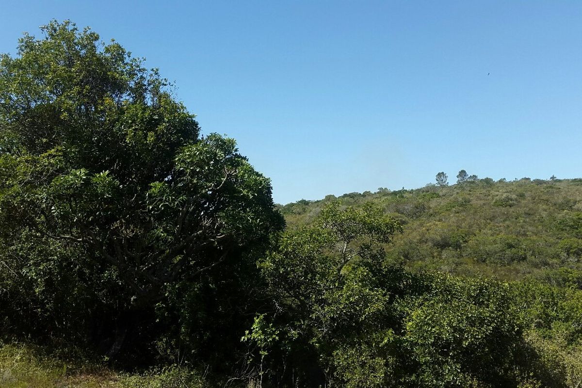 Escape the hustle and bustle of the city . - Photo 4