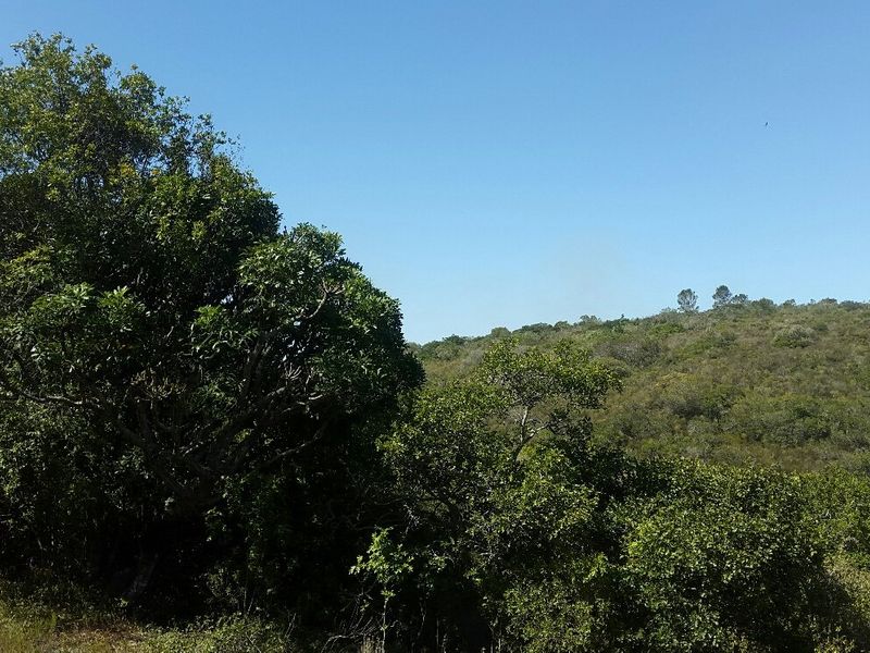 Escape the hustle and bustle of the city . - Photo 4