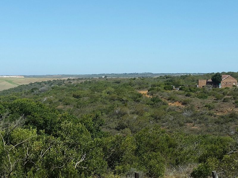 Escape the hustle and bustle of the city . - Photo 8