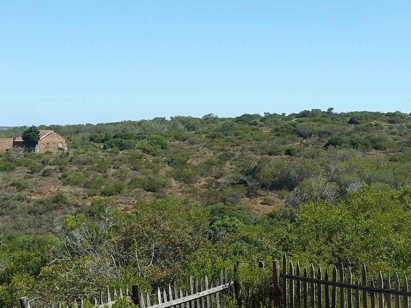 Escape the hustle and bustle of the city . - Photo 7