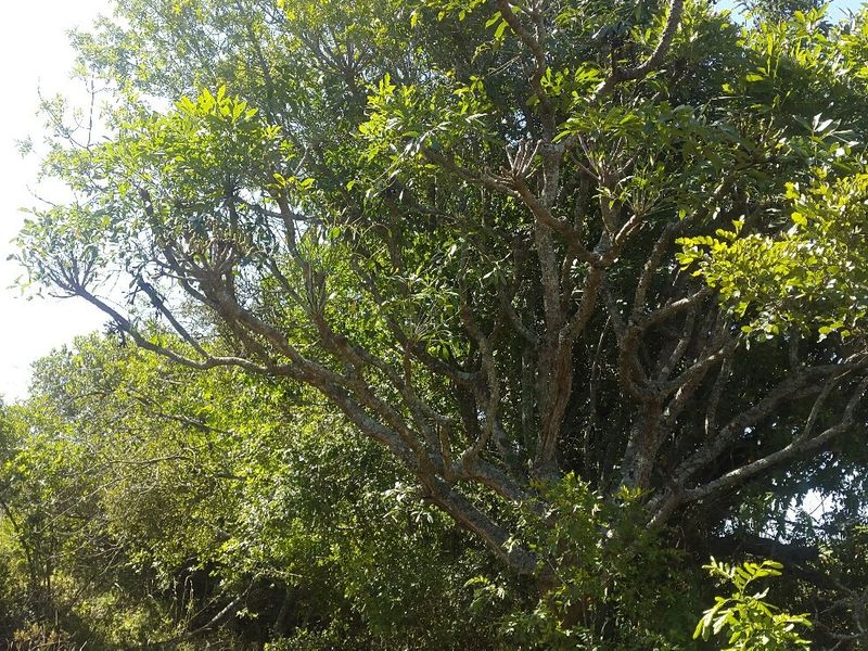 Escape the hustle and bustle of the city . - Photo 6