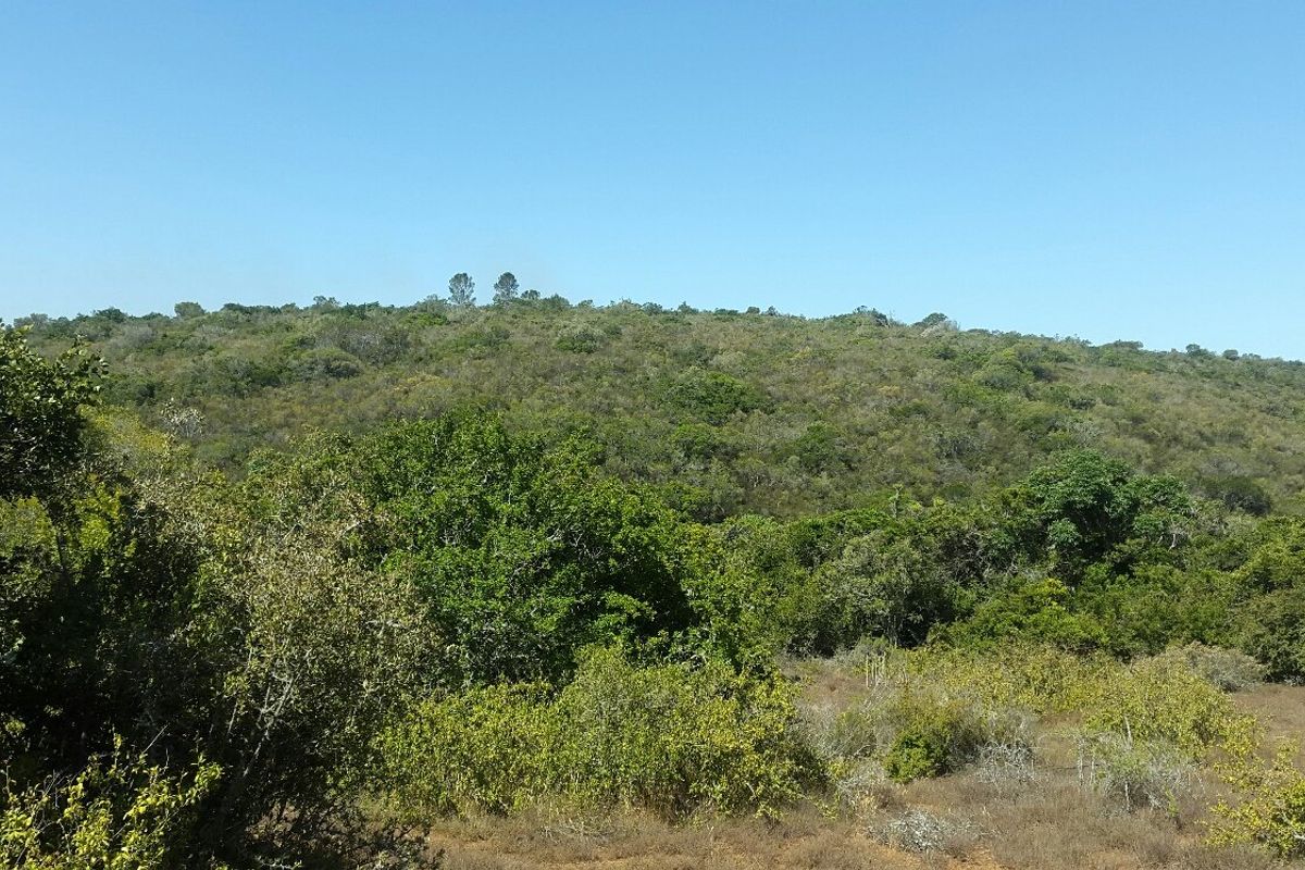 Escape the hustle and bustle of the city . - Photo 3