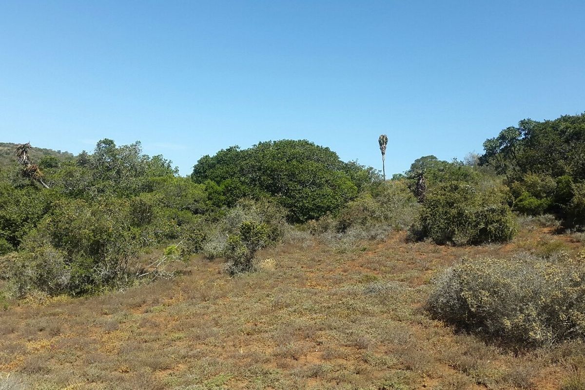 Escape the hustle and bustle of the city . - Photo 5