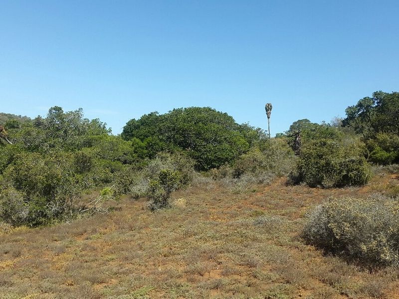 Escape the hustle and bustle of the city . - Photo 5