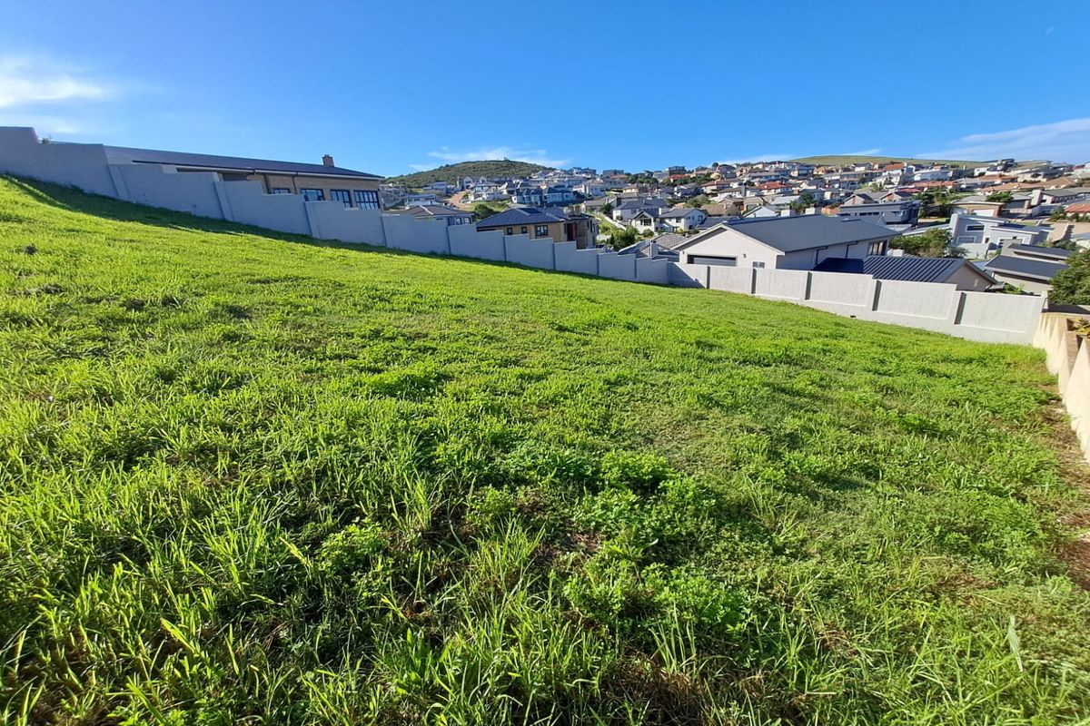 A view of the vacant residential land plot featuring a sloped grass surface and established boundary walls, overlooking the surrounding neighborhood.