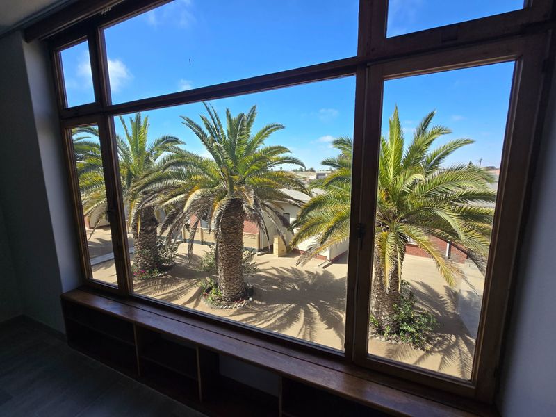 A view from an interior room looking out over a courtyard with palm trees, featuring timber window frames and a built-in timber sill.