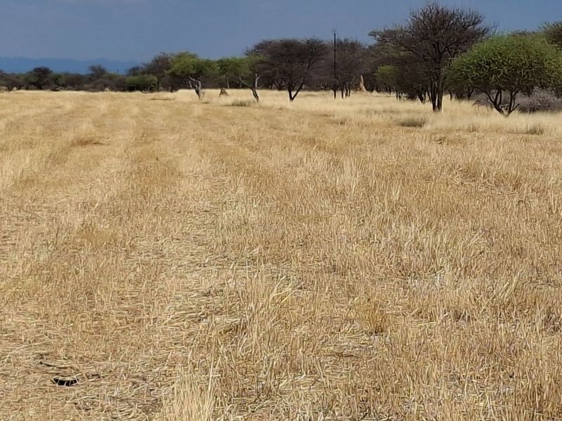 Secluded lifestyle farm on secure estate - Photo 9