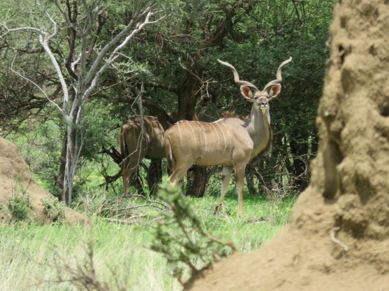 Secluded lifestyle farm on secure estate - Photo 4
