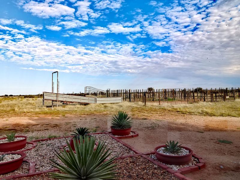 Expansive farm grounds featuring a functional livestock handling facility, loading ramp, and fenced enclosures set within a rural landscape.