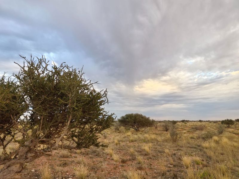 A scenic view of the expansive farm landscape featuring native vegetation and open fields under a cloudy sky.