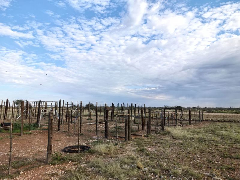 An expansive farm area featuring traditional wooden post and wire fencing with integrated metal gates, set against a rural landscape.