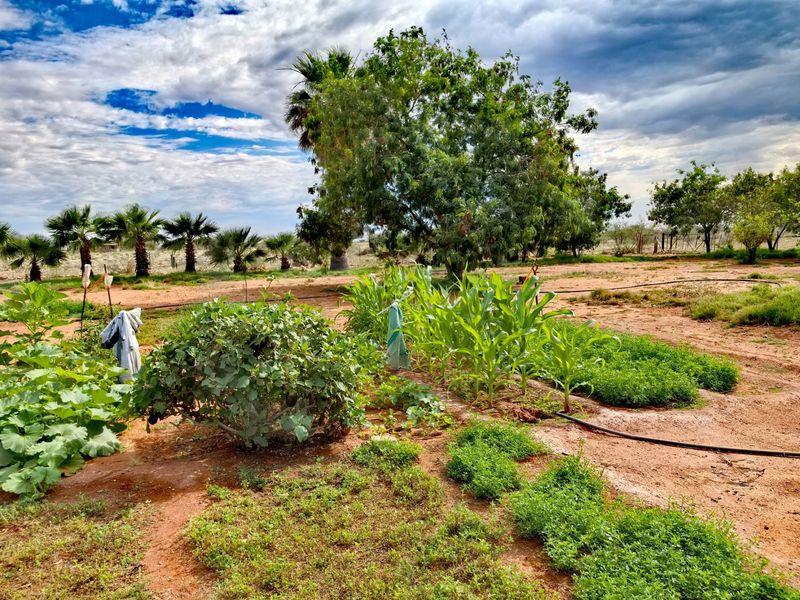 A view of the farm garden featuring established trees, a vegetable patch, and an installed irrigation system on the property grounds.
