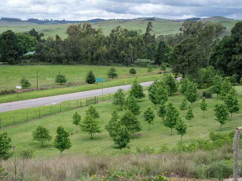 Where Country Calm Meets Contemporary Design: 822m2 Stand in Windspur Estate - Photo 4