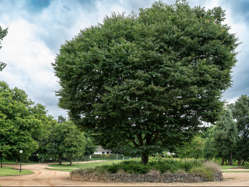 Where Country Calm Meets Contemporary Design: 822m2 Stand in Windspur Estate - Photo 10