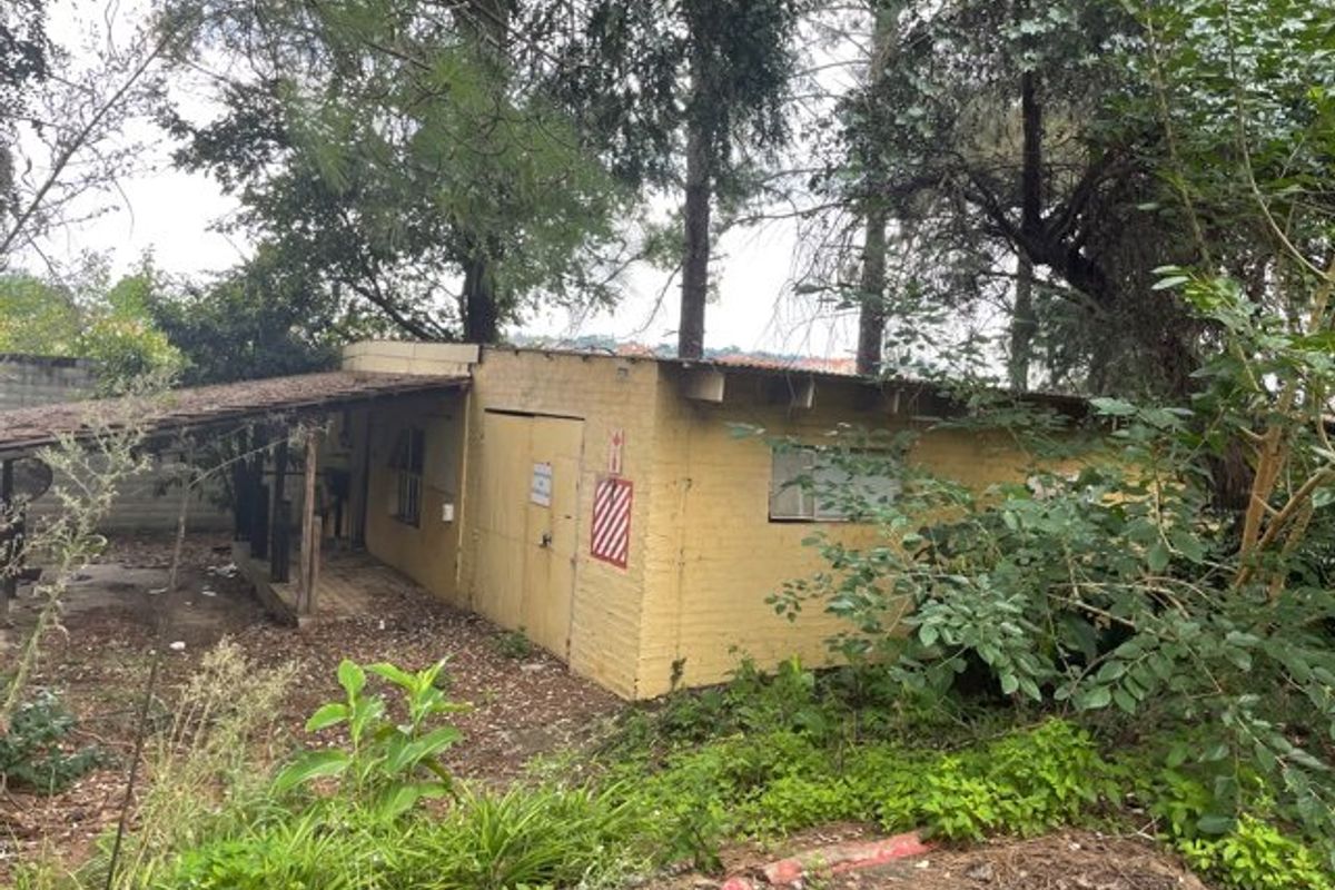 A weathered, single-story outbuilding or garage structure situated on a residential plot, surrounded by mature trees and overgrown vegetation.