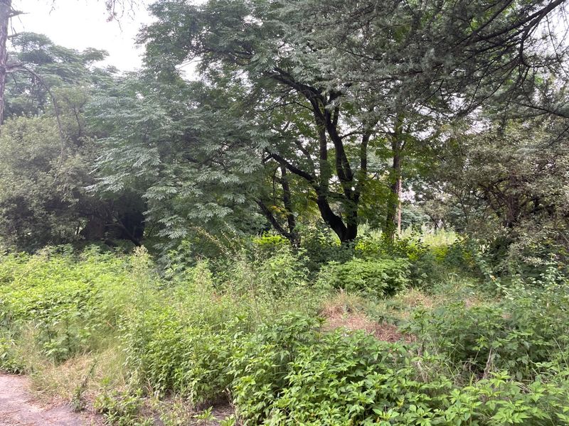 “103 Unit Development Opportunity | Res 3 | ±R48,500 per Opportunity | 2ha Corner Site – Kya Sands” - Photo 9