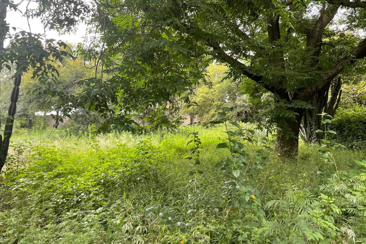 “103 Unit Development Opportunity | Res 3 | ±R48,500 per Opportunity | 2ha Corner Site – Kya Sands” - Photo 5